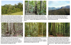 Rainforest Plants of Australia – Interactive Identification Key – USB